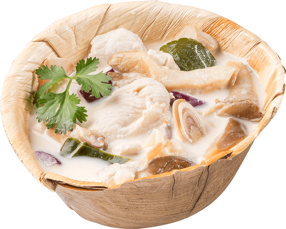Tom Kha Gai (Coconut Chicken Soup)